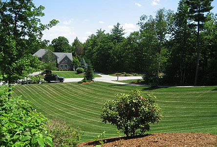 Landscape-Lawn-Maintenance